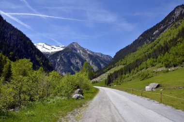 Mayrhofen, Avusturya - Kuzey Tyrol 'daki Avusturya Alplerinde Stillup Vadisi Yolu 