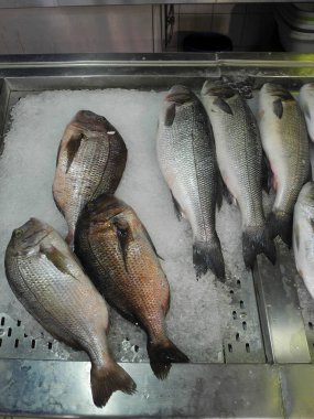 Yunanistan, Cos, buzda, levrekte ve karalamalarda sergilenen ürünleri olan balıkçı.