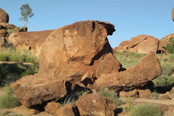 Australia_Northern 领土 — 图库照片