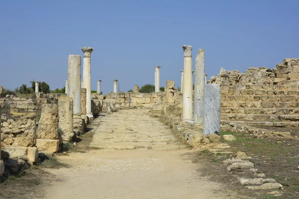 Κύπρου, αρχαία Σαλαμίνα — Φωτογραφία Αρχείου