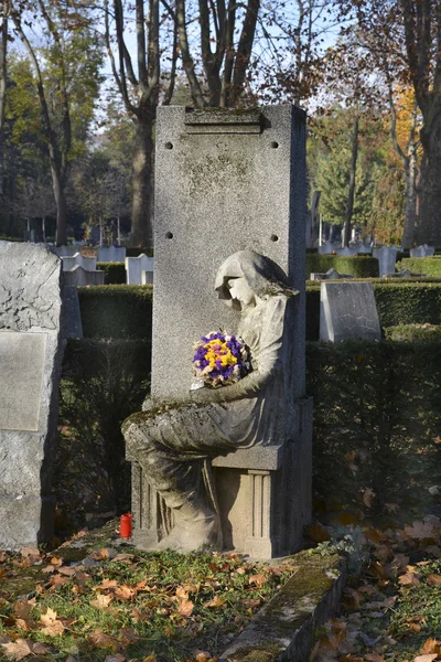 Austria_Cemetery w Wiedniu — Zdjęcie stockowe