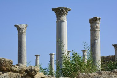 Kıbrıs, Antik Salamis