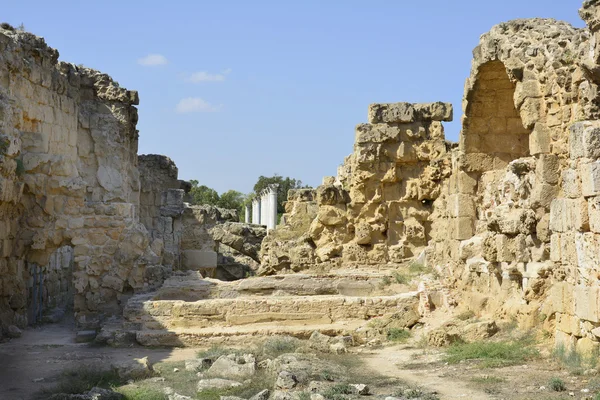 Chipre, salamis antigos — Fotografia de Stock