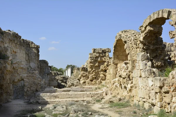 Chipre, salamis antigos — Fotografia de Stock