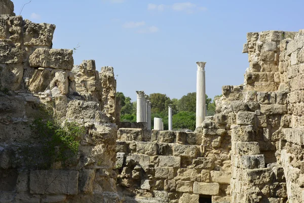 Κύπρου, αρχαία Σαλαμίνα — Φωτογραφία Αρχείου