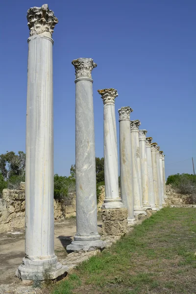 Cyprus, oude Salamis — Stockfoto