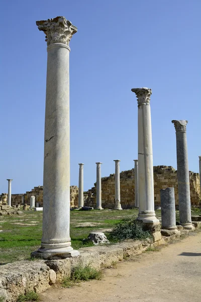 Chipre, salamis antigos — Fotografia de Stock