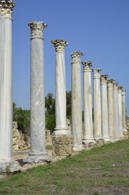 Kıbrıs, Antik Salamis