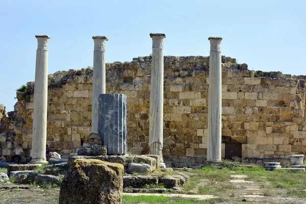 塞浦路斯，古代的萨拉米斯 — 图库照片