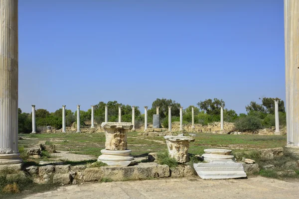 Cyprus, ancient Salamis — Stock Photo, Image