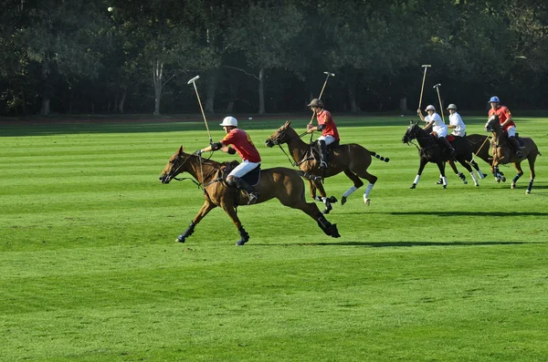 Áustria, Polo Sport — Fotografia de Stock