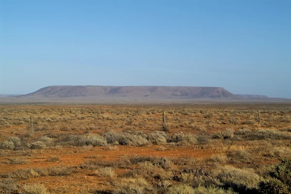 South Australia, outback — Stock Photo, Image