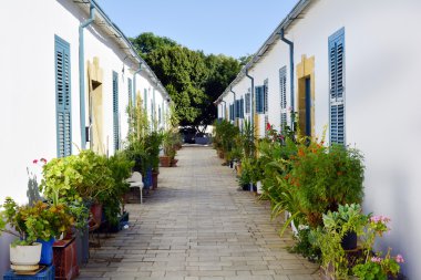 Kıbrıs, Lefkoşa evler