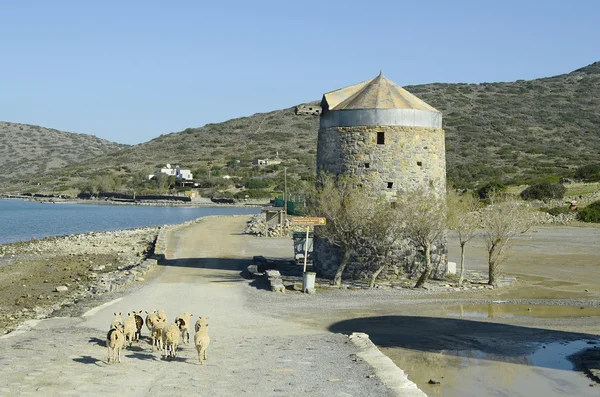 Grekland, Kreta, Elounda — Stockfoto