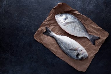 Çiğ organik dorado ya da kayanın üzerinde çipura ya da beton arkaplan. .