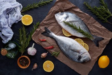 Çiğ organik dorado ya da kayanın üzerinde çipura ya da beton arkaplan. .