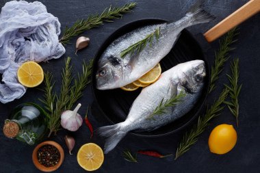 Çiğ organik dorado ya da kayanın üzerinde çipura ya da beton arkaplan. .