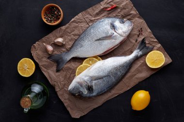 Çiğ organik dorado ya da kayanın üzerinde çipura ya da beton arkaplan. .