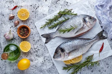 Çiğ organik dorado ya da kayanın üzerinde çipura ya da beton arkaplan. .