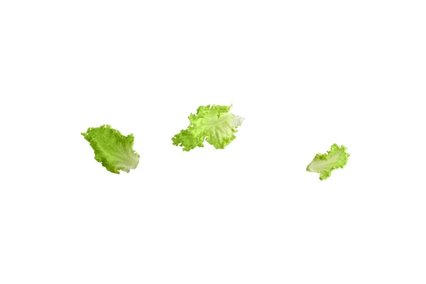 Freshness Green Leaf Lettuce White Background — Stock Photo, Image