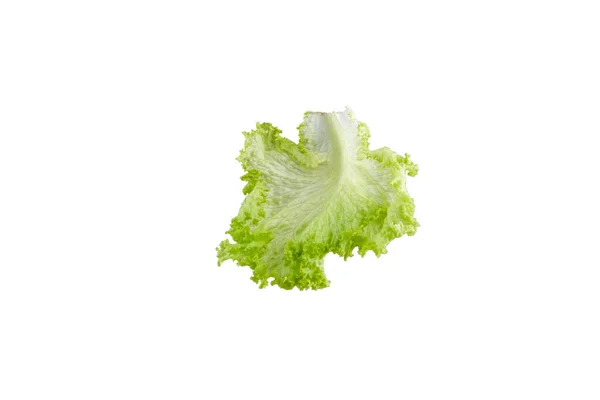 Fräschhet Grönt Löv Sallad Vit Bakgrund — Stockfoto