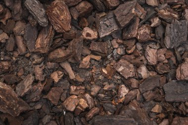 Arkaplan olarak kullanılan ağaç kabuğu dokusu çerçevesi