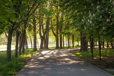Şehir merkezinde boş bir yol tabanı olan halk meydanı.