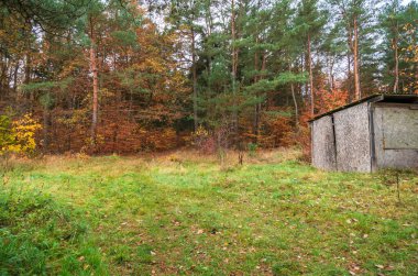 Sonbahar ormanı ve eski ahır tipi bina