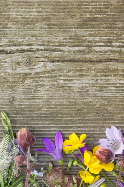 Yıpranmış ahşap zemin üzerine yaz kır çiçekleri