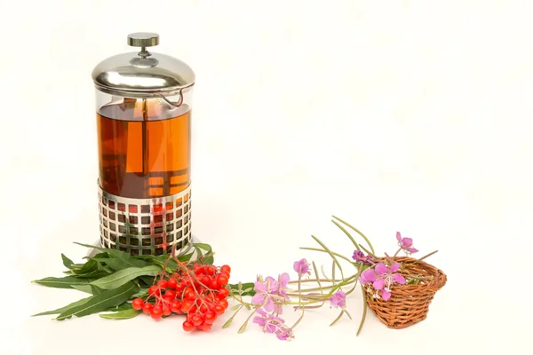 柳叶草药的凉茶 — 图库照片