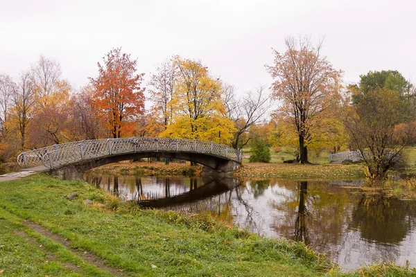 Nehrin üzerindeki köprü