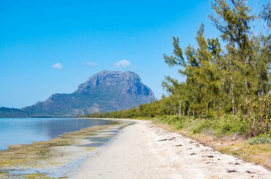 Ile aux Benitier 'den Le Morne Brabant Manzarası, Mauritius