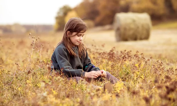 Una Adolescente Está Sentada Campo Hierba Sobre Fondo Heno Está — Foto de Stock