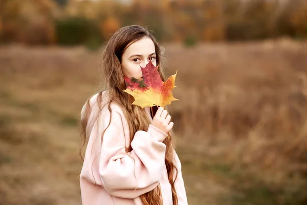 Portrét Dospívající Dívky Dlouhými Vlasy Držící Obličeje Javorový List Sobě — Stock fotografie