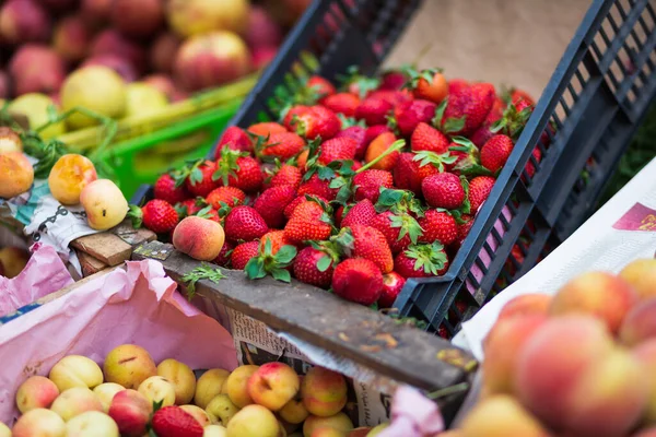 Yerel bir markette meyve, çilek, elma, şeftali satıyorum.