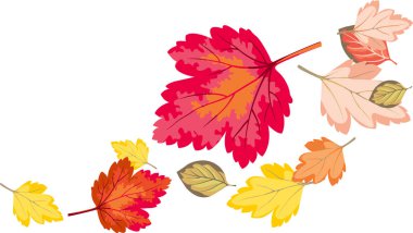 Rüzgarda dönen renkli sonbahar yaprakları