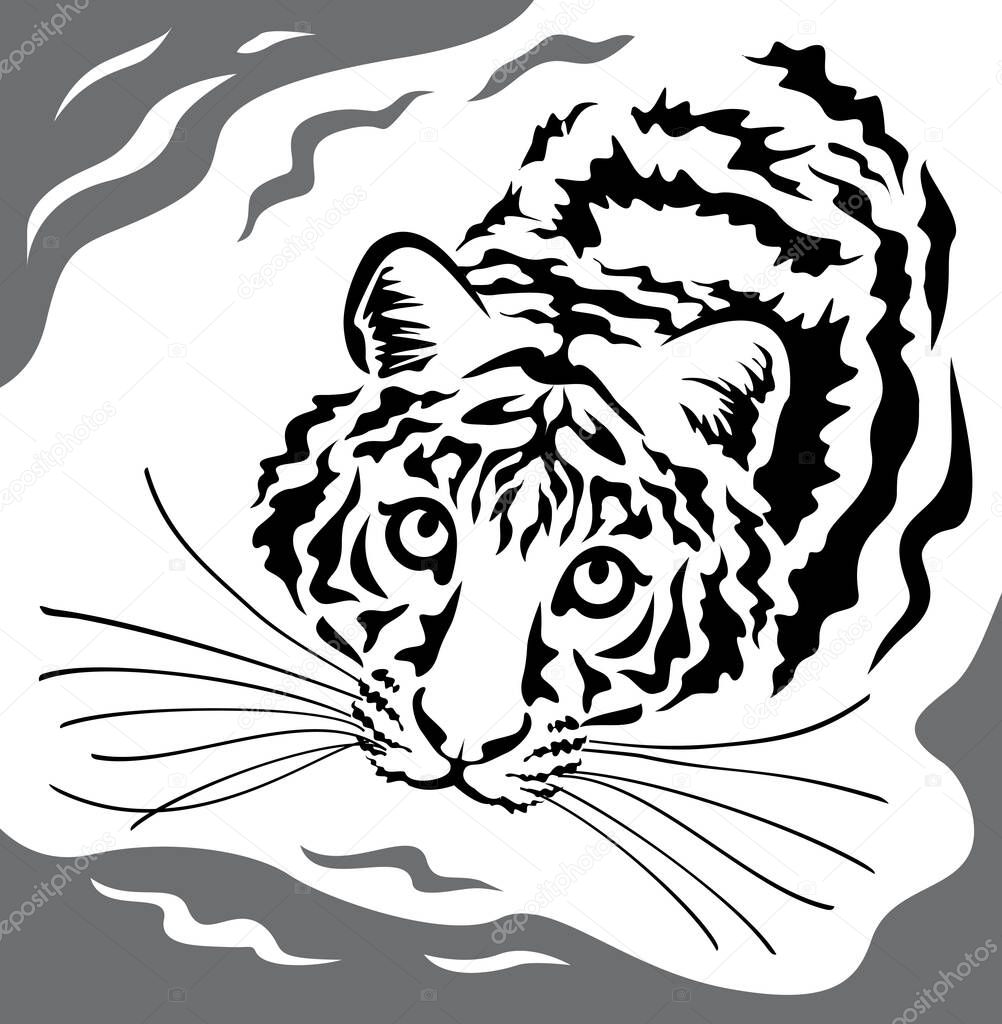 Tiger swimming in water graphic illustration