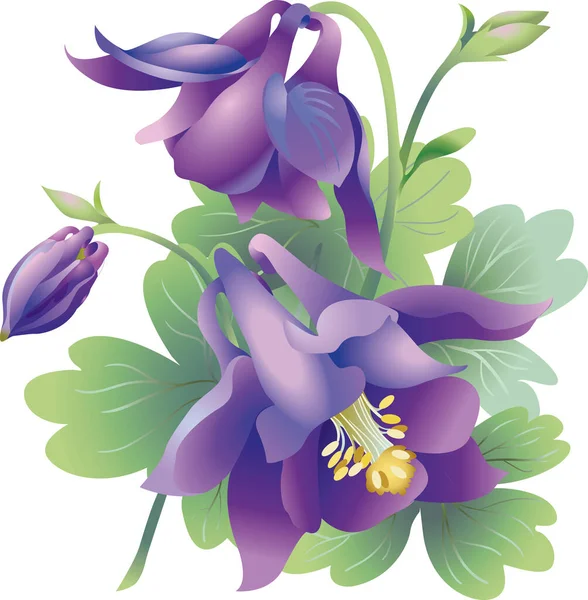 Blooming Summer Purple Flowers — Stock Vector