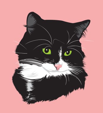 siyah cat1