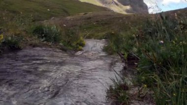 İtalya 'daki Gran Paradiso Ulusal Parkı' nda dağ suyu akıntısı