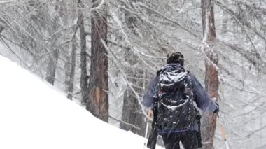 Doğa fotoğrafçısı, bir ormanda, karda, kışta, Gran Paradiso Ulusal Parkı, Alpler, İtalya, gran paradiso, soğuk, buz, kar fırtınası,  