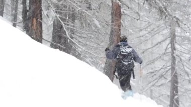 Doğa fotoğrafçısı, bir ormanda, karda, kışta, Gran Paradiso Ulusal Parkı, Alpler, İtalya, gran paradiso, soğuk, buz, kar fırtınası,  