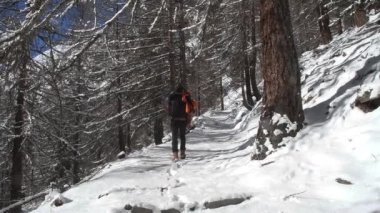 Doğa fotoğrafçısı, bir ormanda, karda, kışta, Gran Paradiso Ulusal Parkı, Alpler, İtalya, gran paradiso, soğuk, buz,  