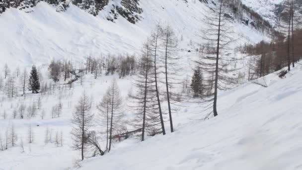 Krajina Sníh Dřevo Stromy Les Alpy Valeille Cogne Lillaz Val — Stock video