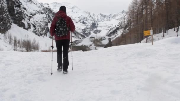 Turista Lese Sníh Zima Národní Park Gran Paradiso Alpy Itálie — Stock video