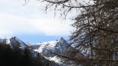 Punta Pousset, manzara, tünek, Larix desidua, Gran Paradiso Ulusal Parkı, İtalya.
