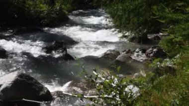 dağ orman içinde güzel şelale