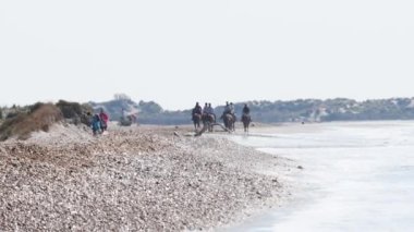 Saint Marie de la Mer sahilinde, plajda, Fransa 'da, Akdeniz' de, Saintes-Maries-de-la-Mer 'de, Deniz' de, Saint Mary 'lerde, sahilde, denizde, Camargue' de,, 