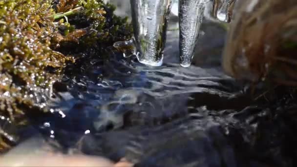 Herbe Gelée Sur Rive Ruisseau Herbe Gelée Glace Rive Ruisseau — Video