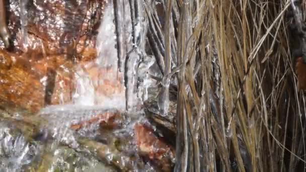 Frozen Grass Creek Autumn Mountain Fagyasztott Patak Torrent Jég Hideg — Stock videók